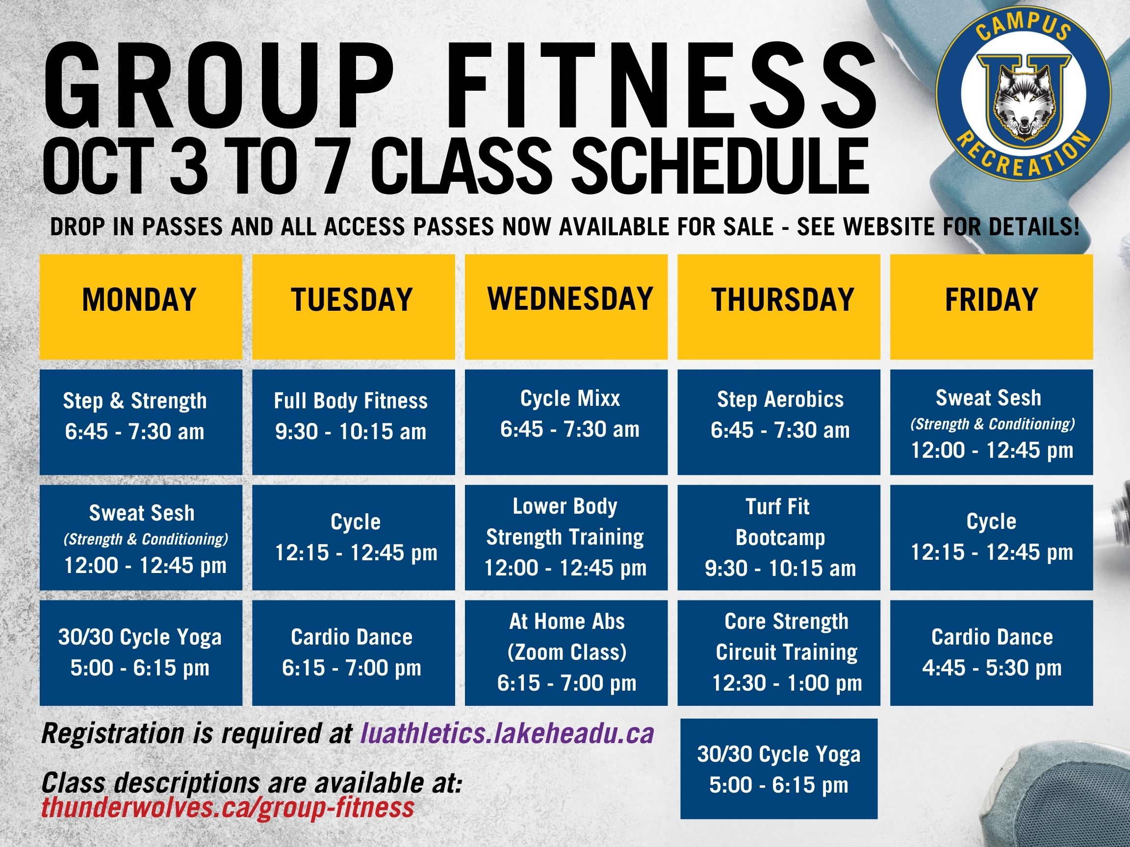 Sweat Sesh Group Fitness Class | Lakehead University 